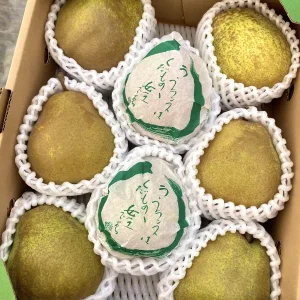 【大玉4~5L】ラ・フランス3kg【特秀7~8玉入り】