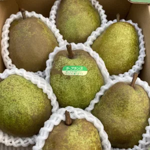 ラ・フランス 2kg 7玉入り