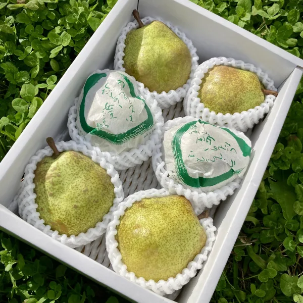 【大玉4L】ラ・フランス2kg【特秀6玉入り】