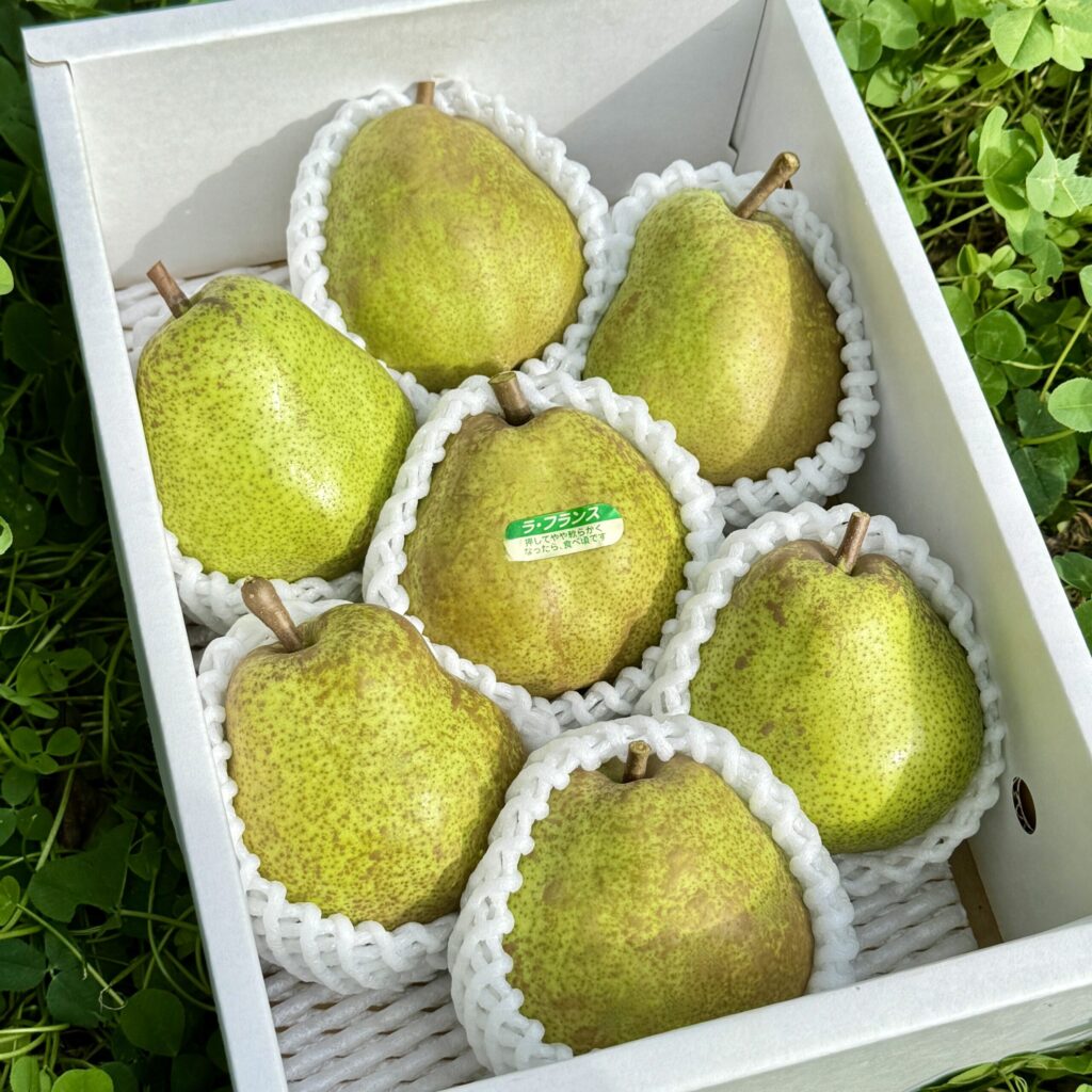 ラ・フランス贈答用ギフト｜山形の洋梨専門農園
