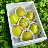 ラ・フランスのサイズの選び方🍐