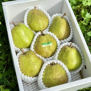 予約 ラ・フランス 2kg 特秀7〜8玉入り