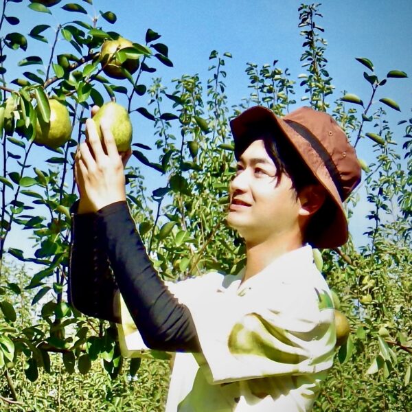【超大玉6L】ラ・フランス3kg【特秀6玉】 - 画像 (3)