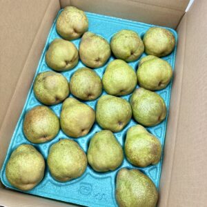予約【2〜3L】山形県産ラフランス5kg【16〜18玉】