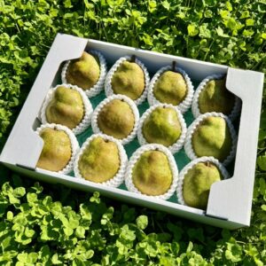 予約【大玉4〜5L】山形県産ラフランス5kg 【12〜14玉】