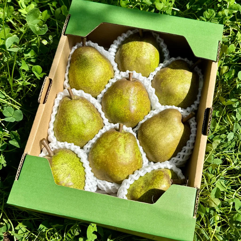食べきりサイズ】ラ・フランス2kg 8〜10玉 | なかむラ・フランスファーム