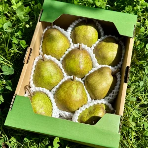 予約 【食べきりサイズ】ラ・フランス2kg 8〜10玉