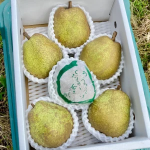 予約【3L】ラ・フランス 約2kg 特秀6玉入り