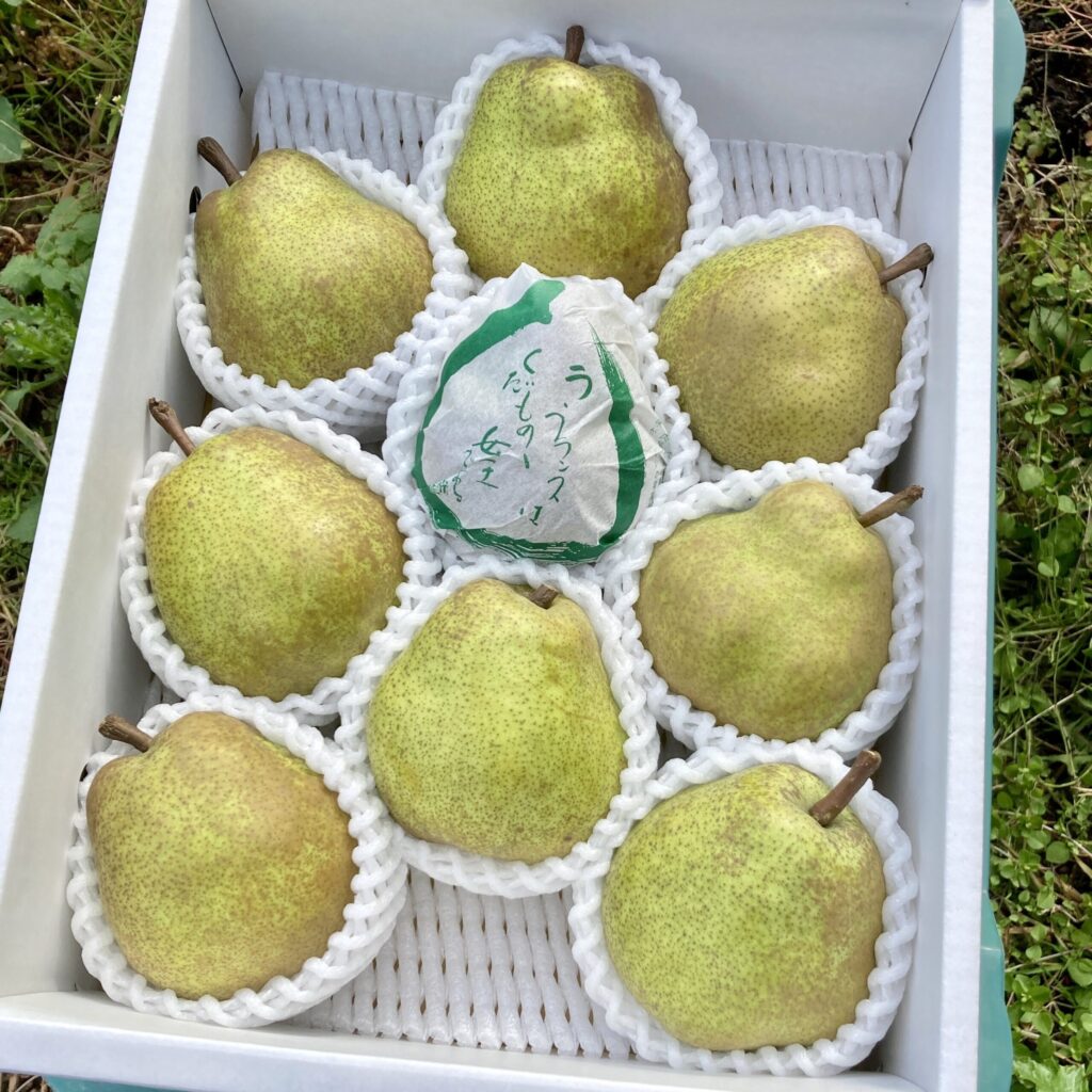 3L】ラ・フランス3kg 特秀9玉入り | なかむラ・フランスファーム