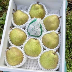 予約【3L】ラ・フランス3kg 特秀9玉入り