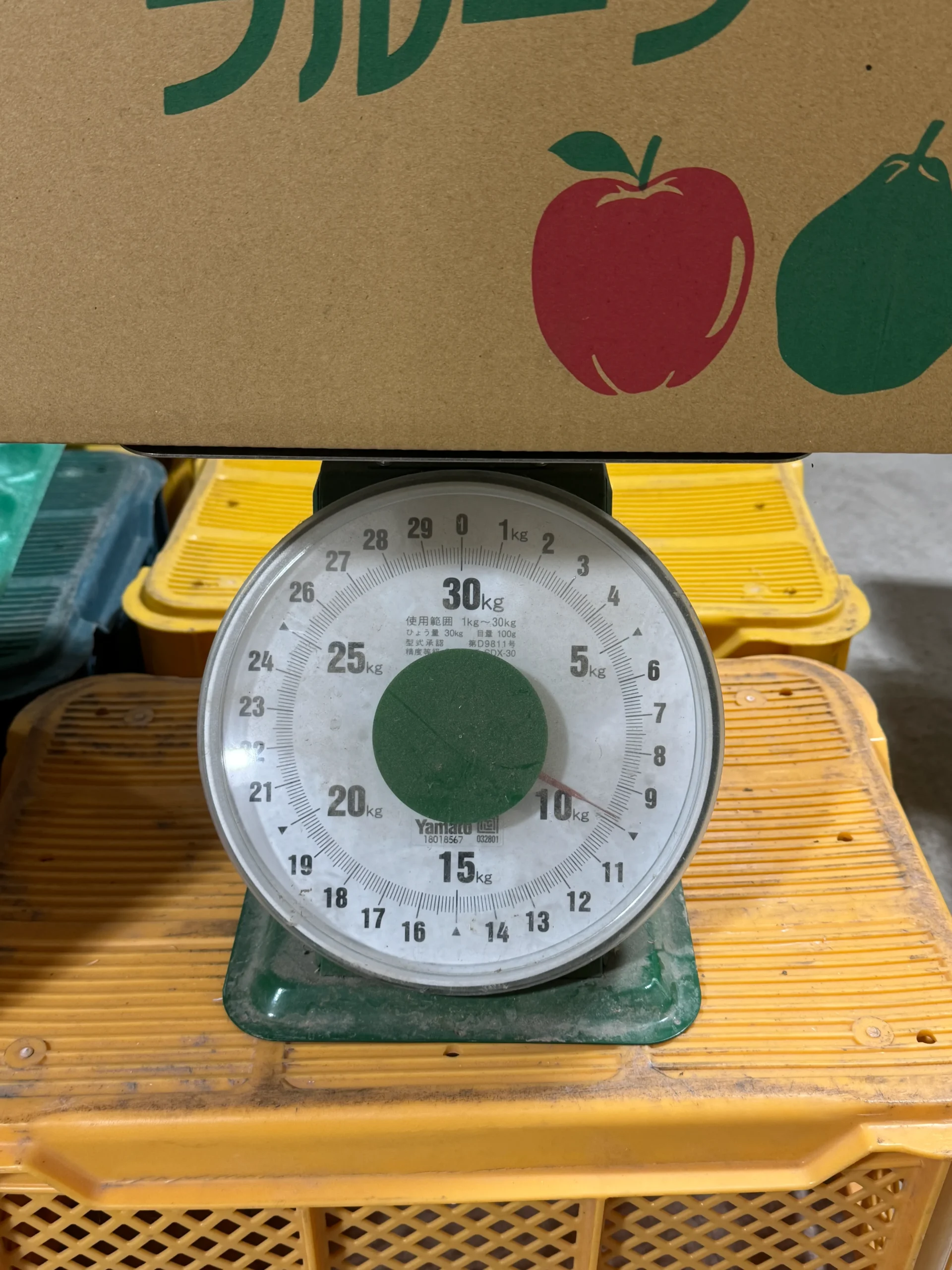 【加工用】小玉ラ・フランス Sサイズ 約9kg - 画像 (3)